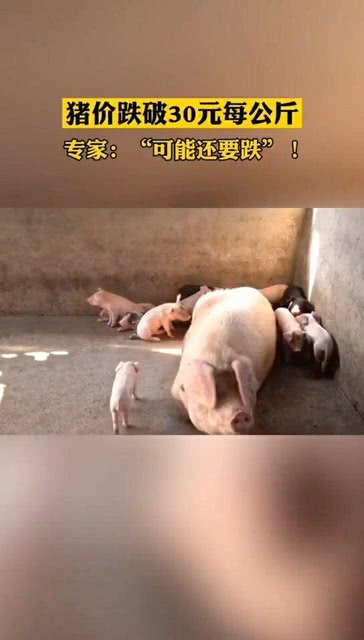 港澳新闻 第38页